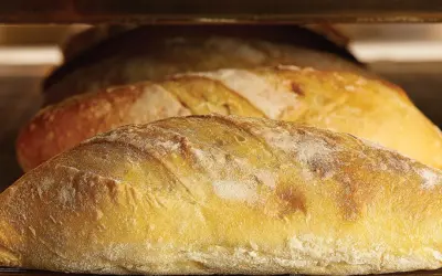Soup Salad Sandwich Franchises: Why Bread Zeppelin Covers the Trifecta